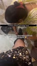Post Video
