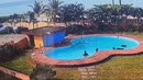 Post Video