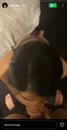 Post Video
