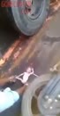 Post Video