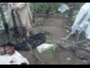Post Video