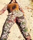 Post Video