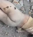 Post Video