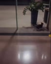 Post Video