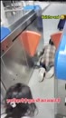 Post Video