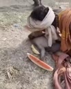 Post Video