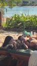 Post Video