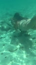 Post Video