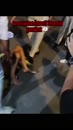 Post Video