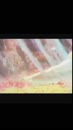 Post Video