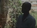 Post Video