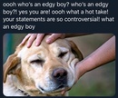 Post Image