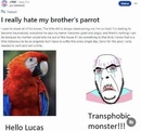 Post Image