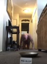Post Video