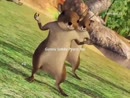 Post Video