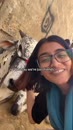 Post Video