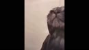 Post Video