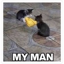 Post Image