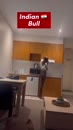 Post Video