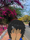 Post Image