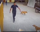 Post Video