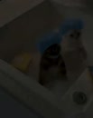 Post Video