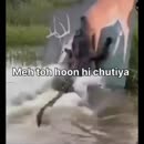 Post Video