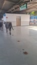 Post Video