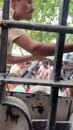 Post Video