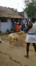 Post Video