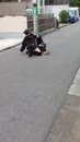 Post Video
