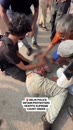 Post Video