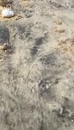 Post Video