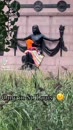 Post Video
