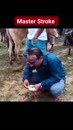 Post Video