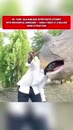 Post Video