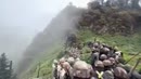 Post Video