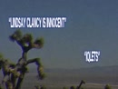 Post Video